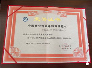 第二届泰山公益论坛暨公益文化节社会组织授牌仪式