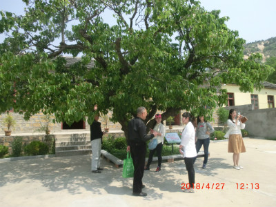 济南职业学院到博物馆参观